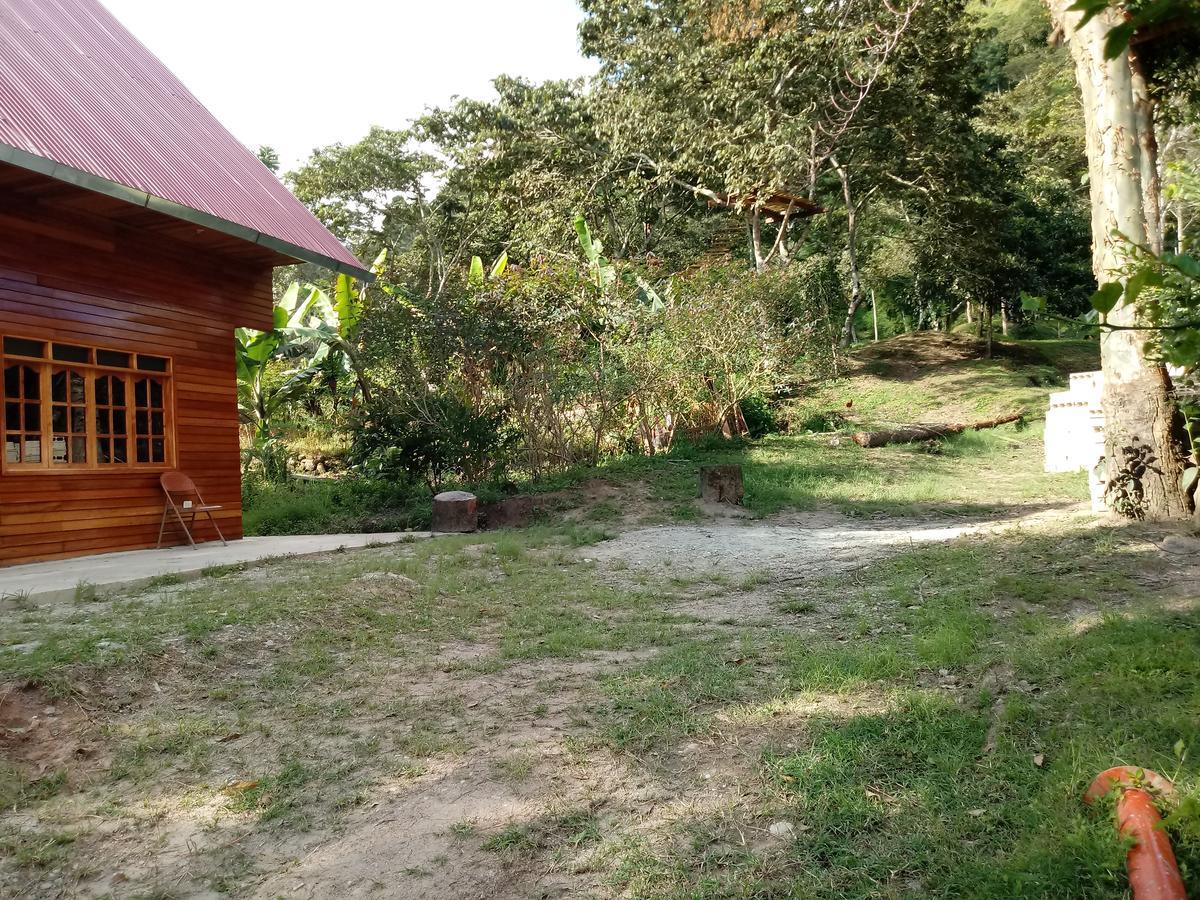 La Cabana De Noa Oxapampa Eksteriør bilde