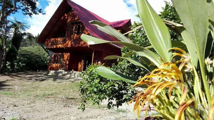 La Cabana De Noa Oxapampa Eksteriør bilde